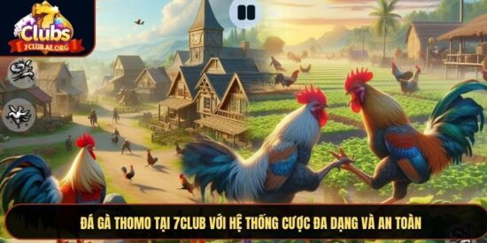 Đá Gà Thomo